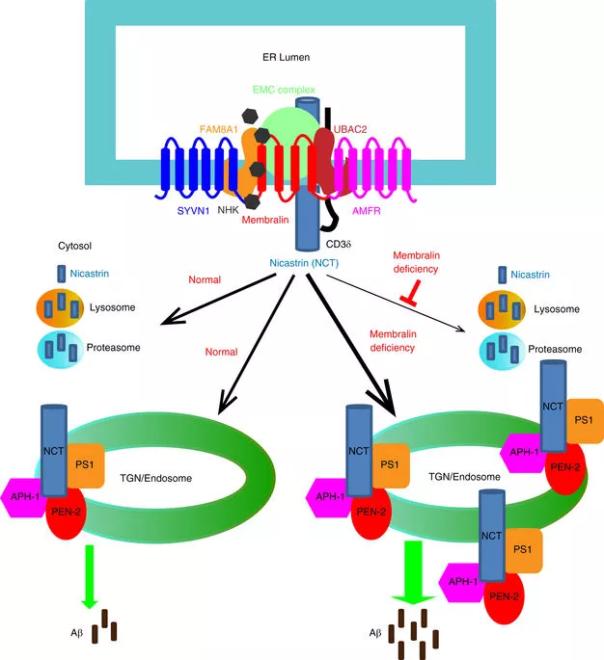 亿万先生mr·(中国区)官方网站
