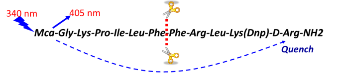 亿万先生mr·(中国区)官方网站