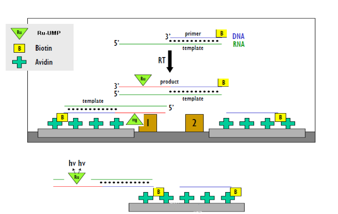 亿万先生mr·(中国区)官方网站