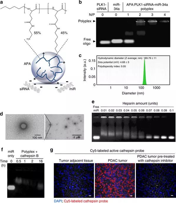 亿万先生mr·(中国区)官方网站