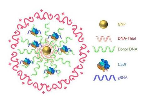 亿万先生mr·(中国区)官方网站
