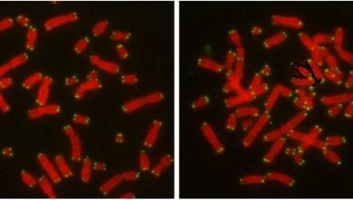 亿万先生mr·(中国区)官方网站