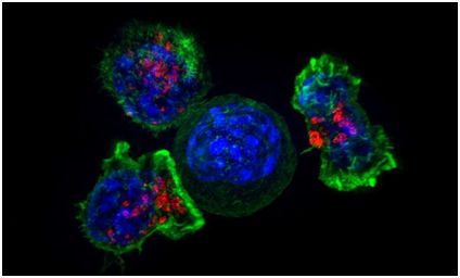 亿万先生mr·(中国区)官方网站