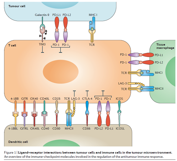 亿万先生mr·(中国区)官方网站