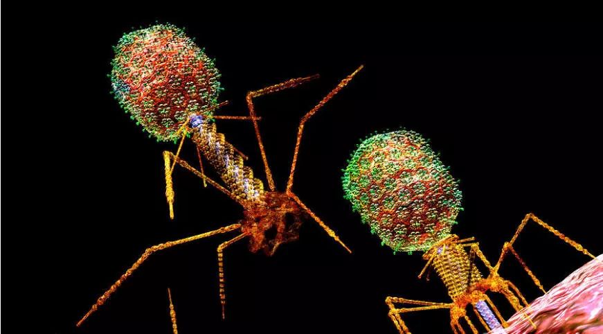 亿万先生mr·(中国区)官方网站