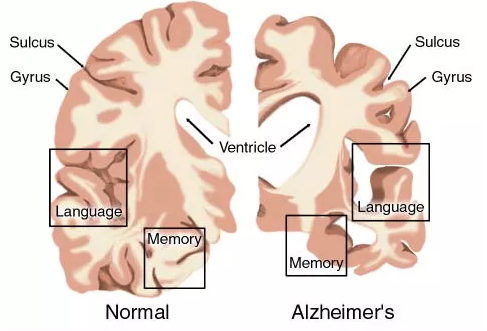 亿万先生mr·(中国区)官方网站
