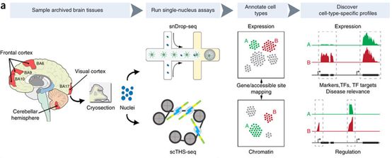 亿万先生mr·(中国区)官方网站