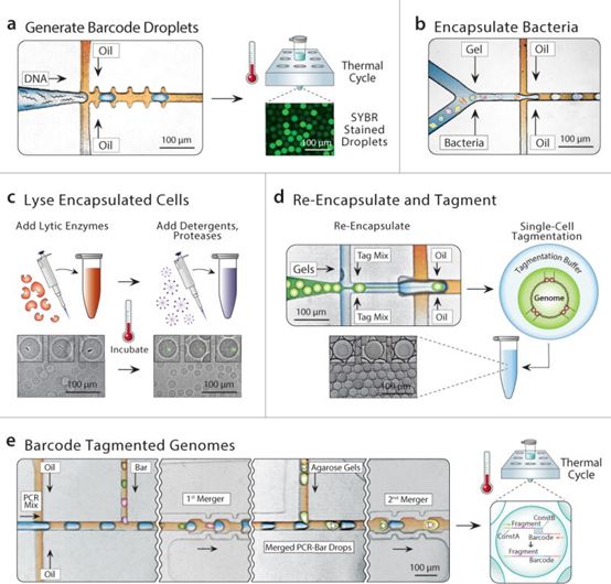 亿万先生mr·(中国区)官方网站