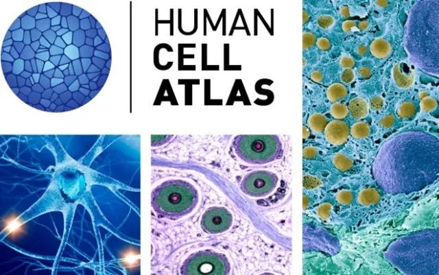 亿万先生mr·(中国区)官方网站