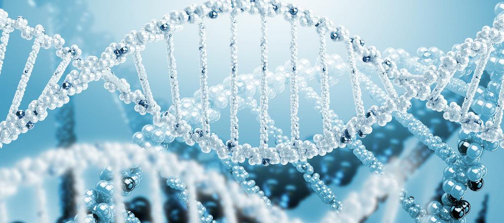 浅谈亿万先生mr抗体药物PK剖析要领学设计的思量要点