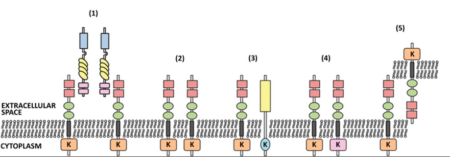 亿万先生mr·(中国区)官方网站