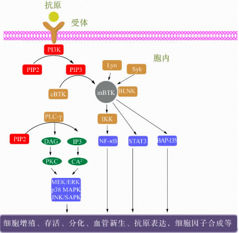 亿万先生mr·(中国区)官方网站