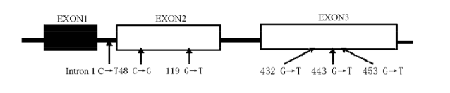 亿万先生mr·(中国区)官方网站