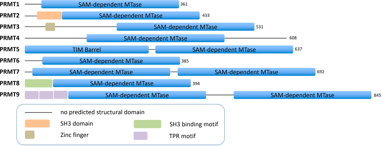 亿万先生mr·(中国区)官方网站