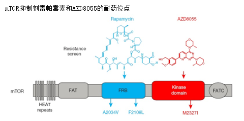 亿万先生mr·(中国区)官方网站
