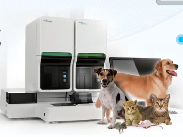 亿万先生mr·(中国区)官方网站