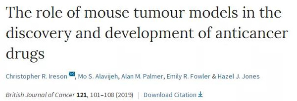 临床前小鼠模子怎样选。。。。。？？？？？