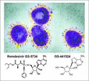 基于细胞因子风暴和免疫炎症反应综合征，，，，，，，，许多免疫相关靶点也可以列为冠状病毒的靶点。。。。。。