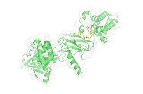 PROTAC手艺，，，，，，，，马兴泉