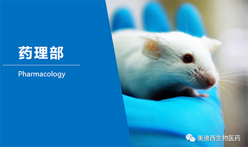 亿万先生mr药理部开发了肺癌、结肠癌、胃癌等12种PDX模子。。。。。