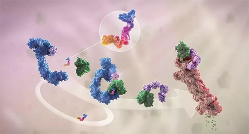 LYTAC出生，，，，，，，，与PROTAC并肩作战针对不可成药的靶点