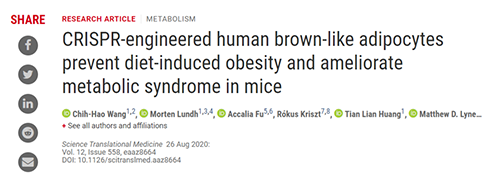 Science|聚焦CRISPR：刷新脂肪细胞，，，，，“躺瘦”可能要成真了？？？？？