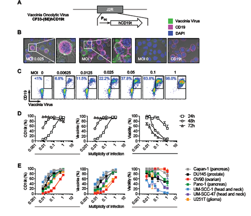 亿万先生mr·(中国区)官方网站