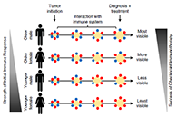 事实为什么ICB疗法在年轻女性肿瘤患者体内收效甚微？？？？？