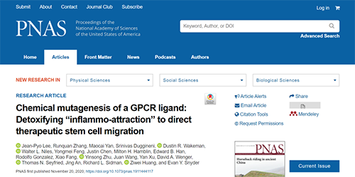 天下首创：药物将干细胞指导至受损部位，，，，，，，，提高其愈合能力！
