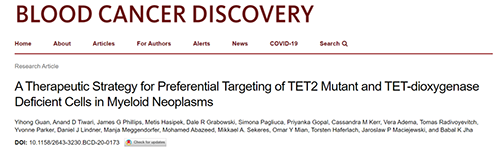 研究者形貌了一种新型靶向抗癌药物，，，，，，，这种药物可能会有用地治疗某些常见的白血病。。。。。