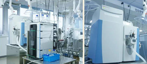 亿万先生mrDMPK剖析效劳