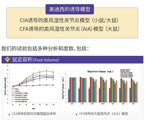 亿万先生mr诱导的类风湿性枢纽炎模子
