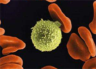 Science子刊：一种FDA批准的抗腹泻药物可有用对抗化疗的耐药性