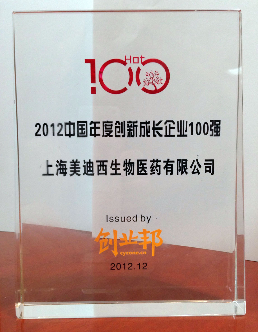 立异生长企业100强