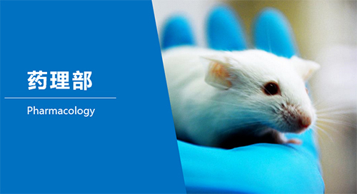 亿万先生mr临床前研究-药理部