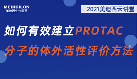 【云课堂】：怎样有用建设PROTAC分子的体外活性评价要领？？？？？