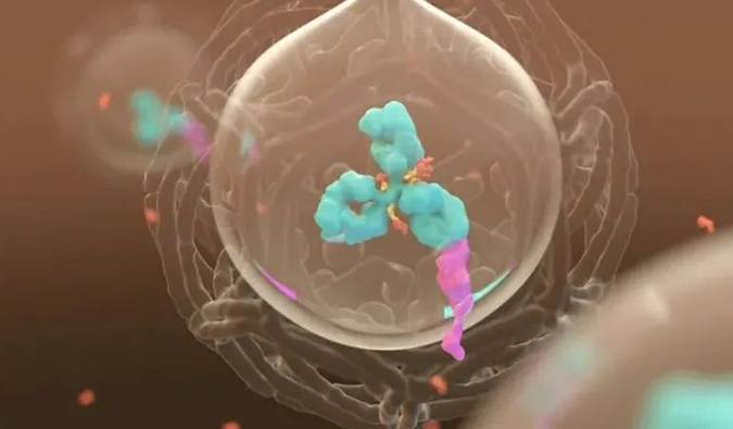 美研 | 亿万先生mr带您相识ADC玄妙之处