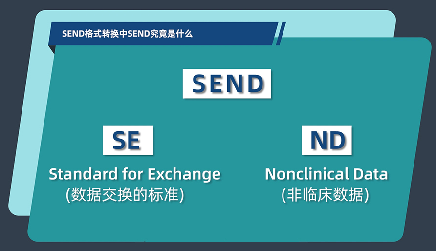 SEND名堂转换中的SEND事实是什么？？？？？？？？