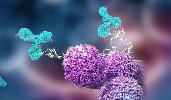 亿万先生mr助力国产靶向叶酸受体FRα ADC注射用BAT8006获批临床