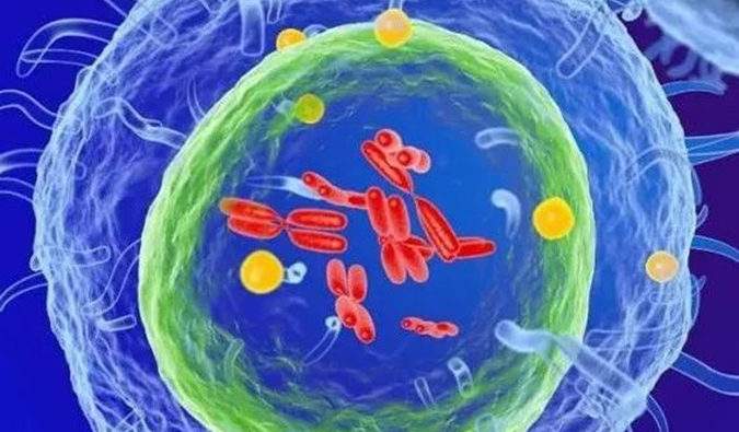  亿万先生mr助力 | 信诺维抗肿瘤1类新药XNW14010获批临床.png