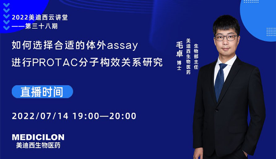 【云课堂】怎样选择合适的体外assay举行PROTAC分子构效关系研究