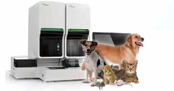 全自动血液剖析仪