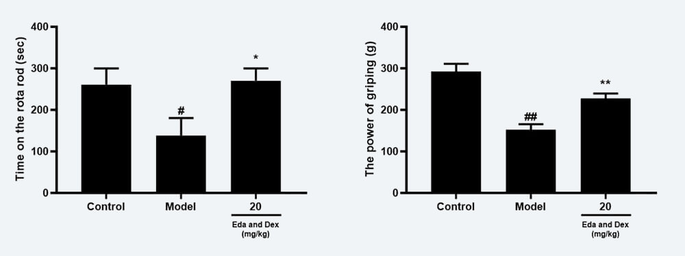 神经功效药效学考察：C 转棒滞留时间；；；；；；；D 抓握力（mean±SEM）.jpg