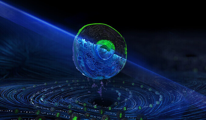 亿万先生mr流式细胞分选效劳平台