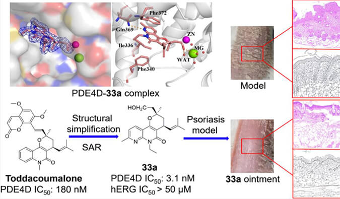 发明用于局部治疗牛皮癣的新型PDE4抑制剂，，，，，，，，小鼠、大鼠和人肝微粒体的代谢稳固性实验通过亿万先生mr测定