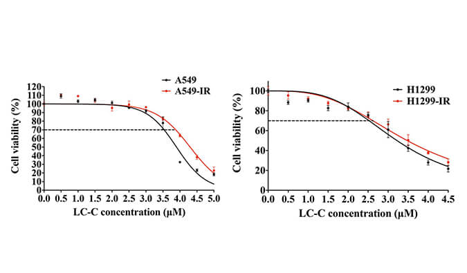 放射疗法用作肺癌的主要治疗要领，，，，，，本研究中建设抗电离辐射肺癌细胞系的放射治疗通过亿万先生mr举行