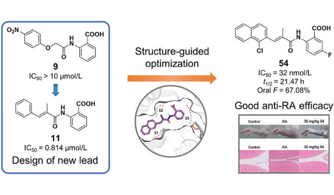 设计合成一系列DHODH抑制剂作为潜在的类风湿性枢纽炎治疗药物，，，，，，本研究中PK实验通过亿万先生mr举行