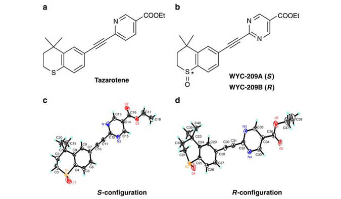 WYC-209可抑制恶性小鼠玄色素瘤肿瘤再生细胞增殖，，，，，，本研究中SPR通过亿万先生mr使用Biacore 8K举行