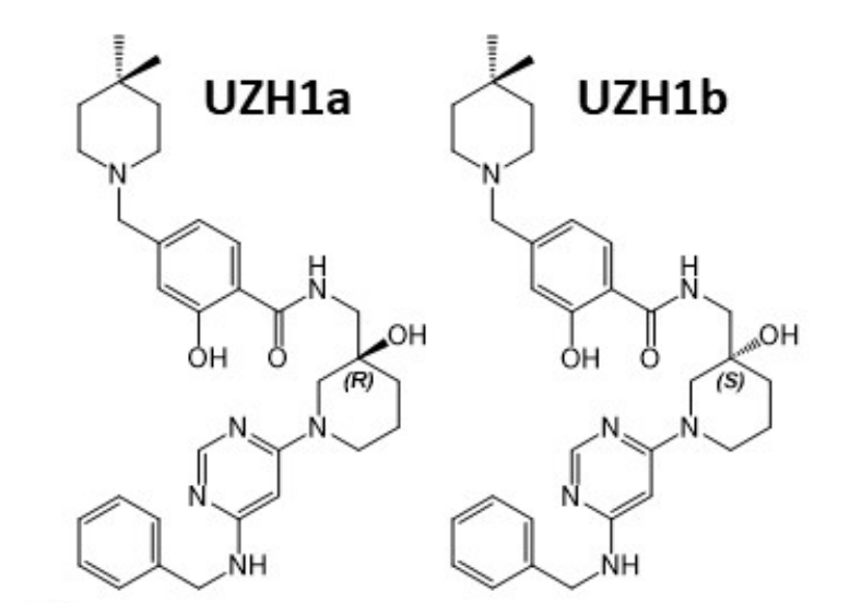 研究职员报告了一种具有细胞渗透性的选择性METTL3纳摩尔抑制剂UZH1a，，，，，，，，作者谢谢亿万先生mr合成了UZH1a和UZH1b