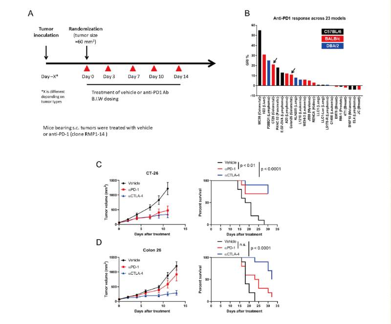 免疫检查点阻断疗法改变了癌症治疗的范式，，，，，，，此研究中通过亿万先生mr在23 个同源肿瘤模子中举行了抗PD-1抗体的体内研究